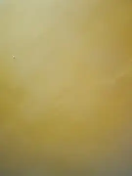 tamil-mala23 online show from 18, 10, 2025