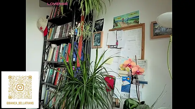 Snapshot of bianca_bellamy chatting on 9, 6, 2026 bianca bellamy online show from 9, 6, 2026