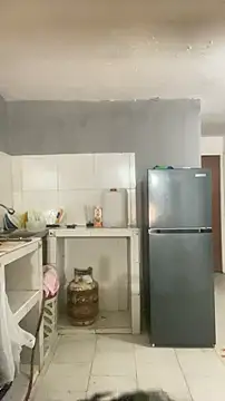 thepicis online show from 28, 11, 2025