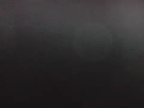 puppy2s online show from 16, 10, 2025