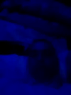 Snapshot of sexdol2 chatting on 22, 3, 2026 sexdol2 online show from 22, 3, 2026