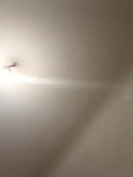 Snapshot of labellerose chatting on 9, 1, 2026 labellerose online show from 9, 1, 2026