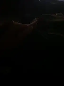 Joven Modelo online show from 13, 10, 2025