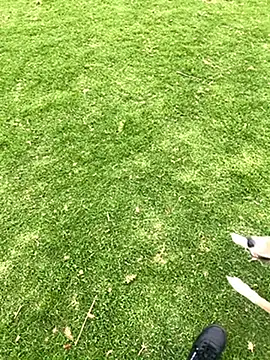 Joven Modelo online show from 21, 10, 2025