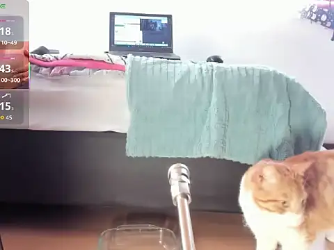   Aragon   online show from 4, 11, 2025