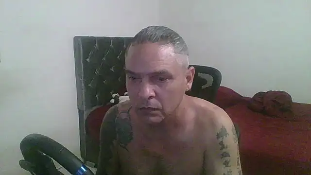 316wp online show from 28, 7, 2026