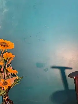 duskyangel online show from 27, 7, 2026