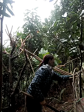 nat-tri online show from 7, 1, 2026