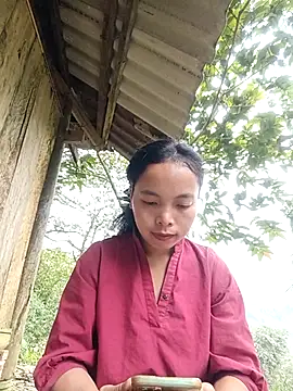 Nguyet2k4 online show from 24, 11, 2025