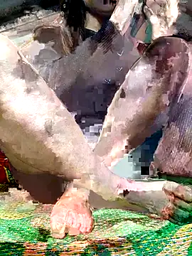 -Kem-01 online show from 5, 12, 2025