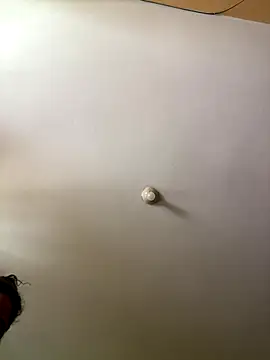 Snapshot of Techi0525 chatting on 16, 12, 2025 Techi0525 online show from 16, 12, 2025