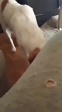 goloso80 online show from 22, 10, 2025