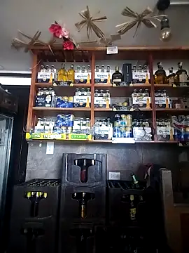 catalella16 online show from 10, 3, 2026