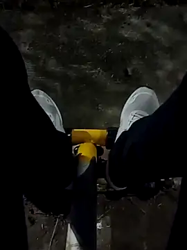 roludao fun online show from 19, 12, 2025