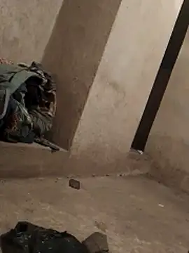 Orlao25cm online show from 9, 11, 2025