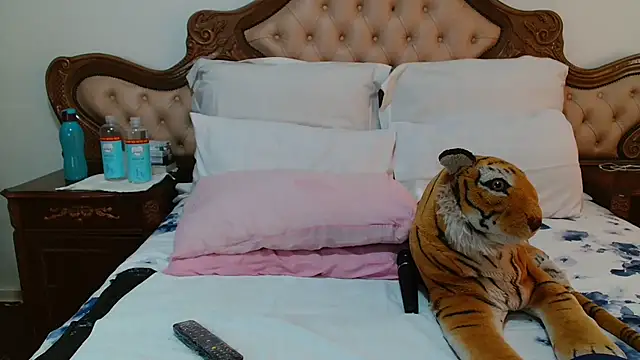 Hotcougar online show from 23, 6, 2026