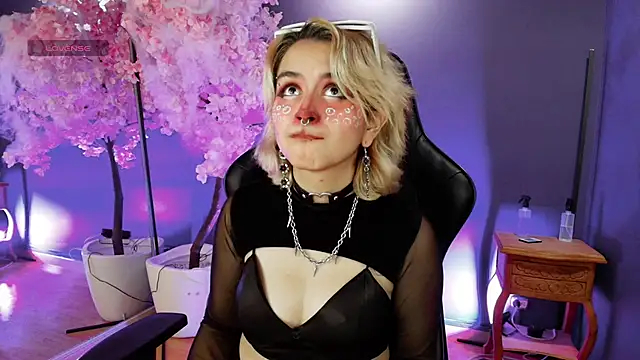 Navier   online show from 4, 11, 2025