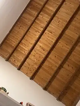 valeriahornier online show from 6, 3, 2026