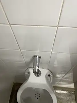 novinhosglbi online show from 4, 11, 2025