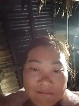  LAN  online show from 8, 3, 2026