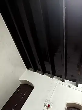 Snapshot of shail1987 chatting on 1, 3, 2026 shail1987 online show from 1, 3, 2026