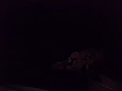 boldiva89 online show from 25, 10, 2025