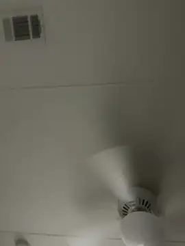 Snapshot of D13ON3L chatting on 8, 11, 2025 D13ON3L online show from 8, 11, 2025