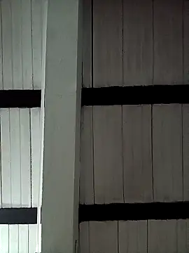 Snapshot of sflps chatting on 2, 4, 2026 sflps online show from 2, 4, 2026