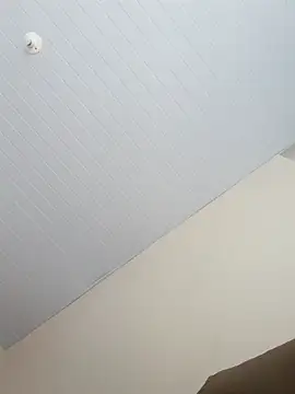 Snapshot of Morenodotado0 chatting on 24, 2, 2026 Morenodotado0 online show from 24, 2, 2026