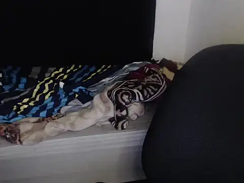 Negritatata online show from 28, 11, 2025