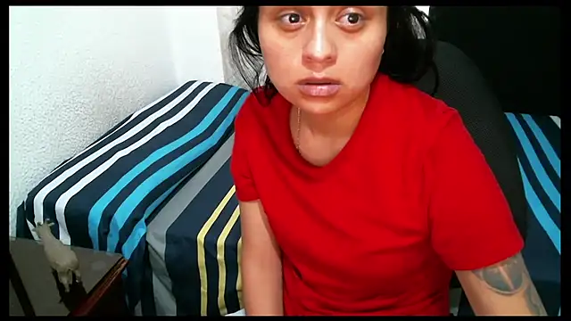 Negritatata online show from 1, 7, 2026