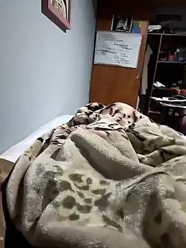 MoAntoMora online show from 7, 11, 2025