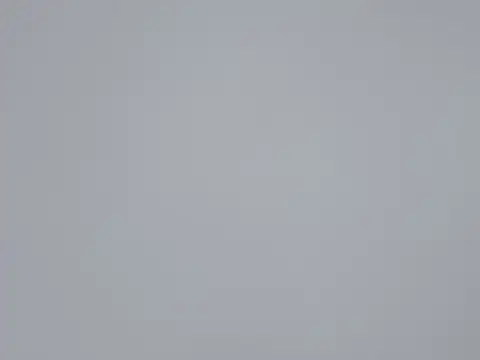 Snapshot of AA-61 chatting on 25, 10, 2025 AA-61 online show from 25, 10, 2025