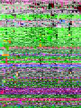 Indianbbc4uxh online show from 5, 6, 2026