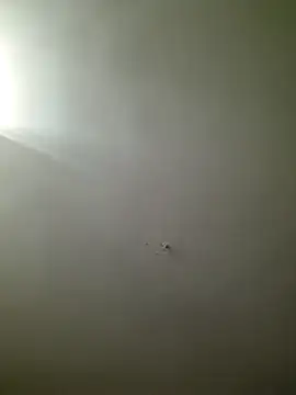 Snapshot of HarrySchwanz1000 chatting on 27, 10, 2025 HarrySchwanz1000 online show from 27, 10, 2025