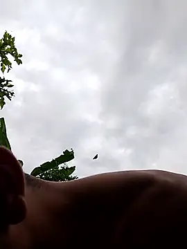 Alex Sweeting online show from 12, 1, 2026