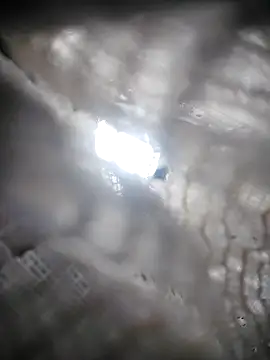 Lana-murr online show from 6, 11, 2025