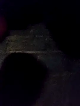 bella-la online show from 30, 11, 2025