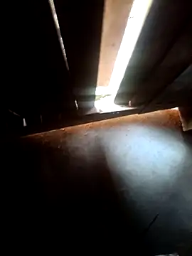 Pandey0012 online show from 16, 3, 2026