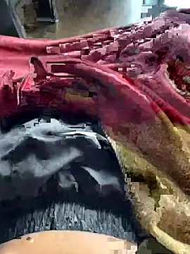 ankitmishra0527 online show from 1, 11, 2025