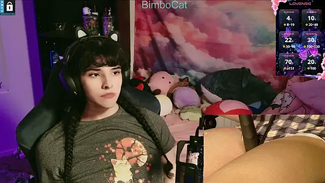 BimboCat online show from 19, 11, 2025