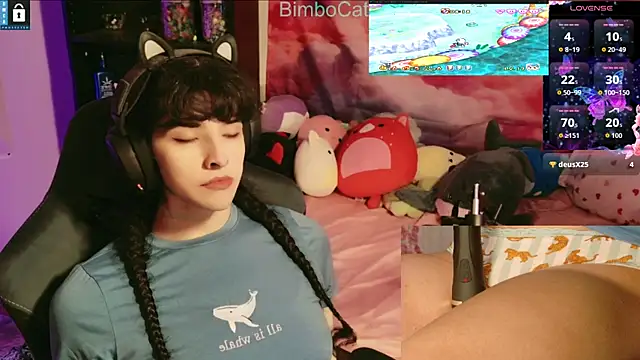 BimboCat online show from 20, 11, 2025