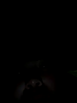 Snapshot of Nul-chal chatting on 5, 1, 2026 Nul-chal online show from 5, 1, 2026