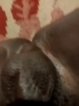 Reajune2001 online show from 20, 4, 2026