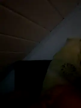 superbertok online show from 20, 11, 2025