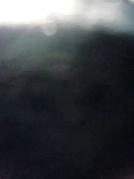 pino870 online show from 12, 3, 2026