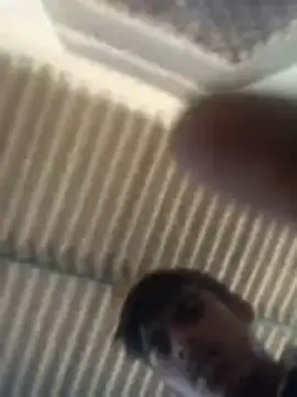 Snapshot of Pallu_Asha chatting on 2, 3, 2026 Pallu Asha online show from 2, 3, 2026