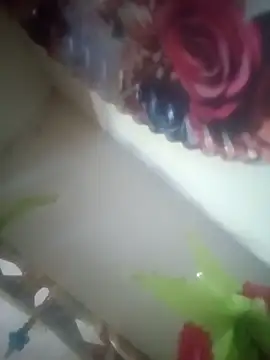 Snapshot of Pallu_Asha chatting on 14, 3, 2026 Pallu Asha online show from 14, 3, 2026