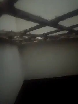 Snapshot of Pallu_Asha chatting on 15, 3, 2026 Pallu Asha online show from 15, 3, 2026