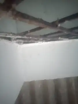 Snapshot of Pallu_Asha chatting on 19, 3, 2026 Pallu Asha online show from 19, 3, 2026